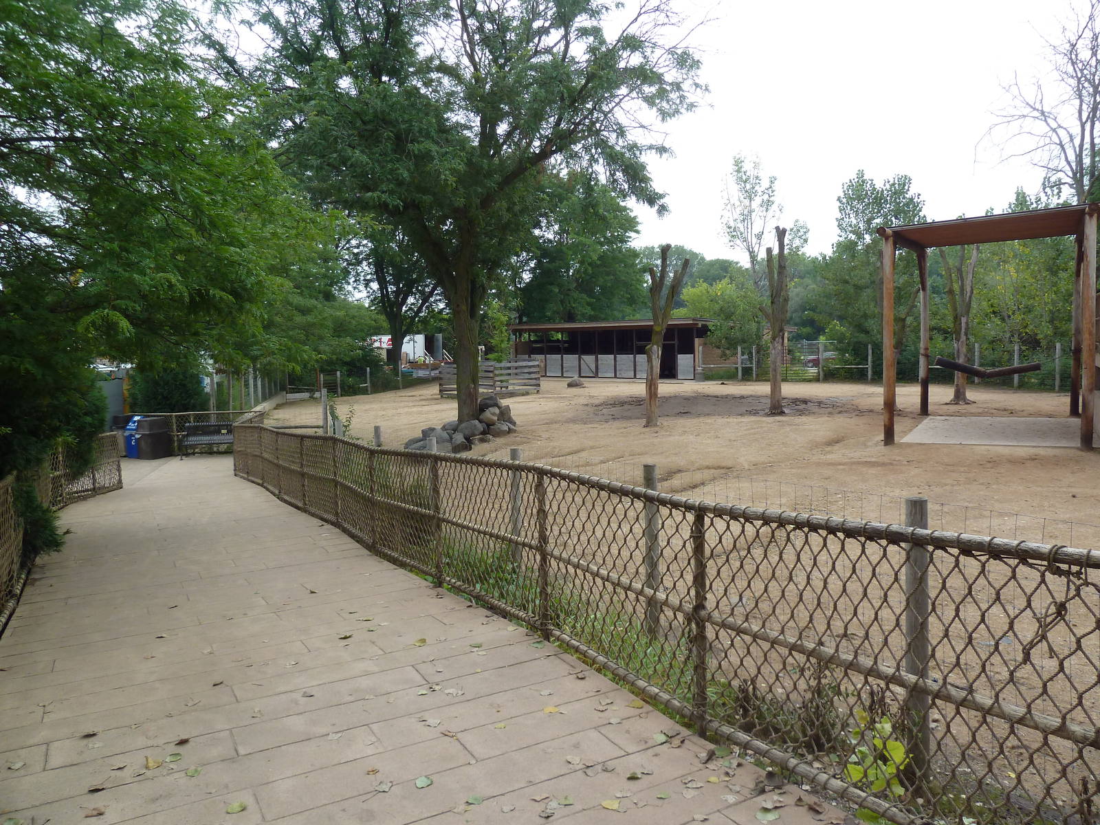 North American Prairie - American Bison Exhibit