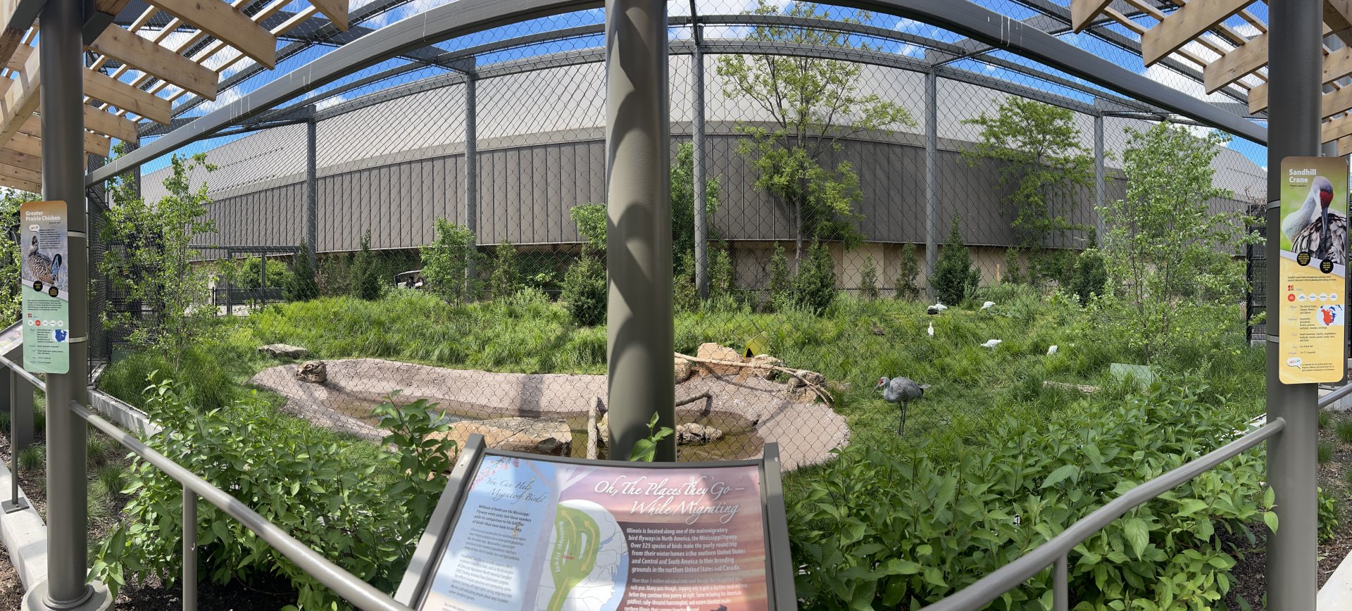 North American Prairie Aviary Panorama