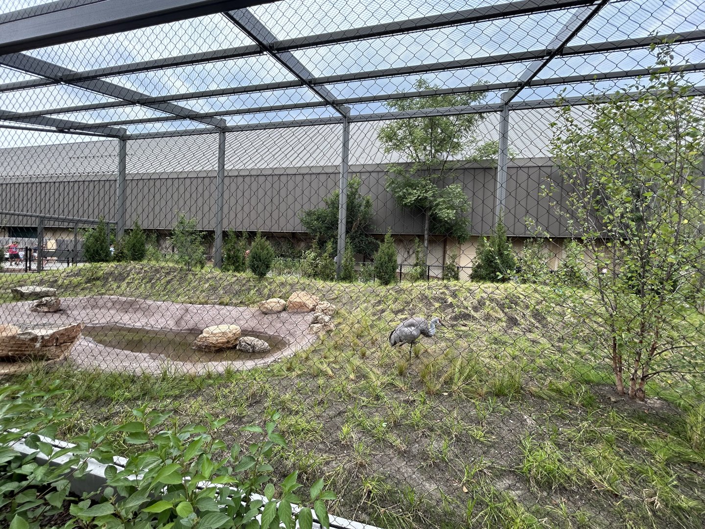 North American Prairie Aviary