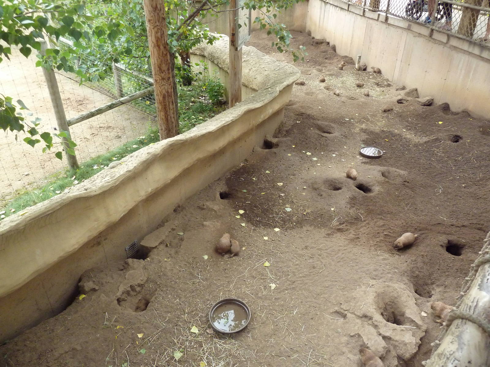North American Prairie - Prairie Dog Exhibit