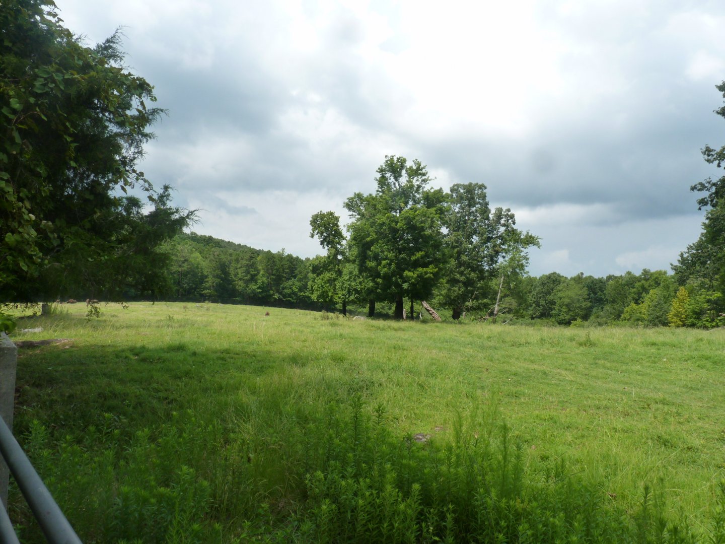 North american Prarie exhibit