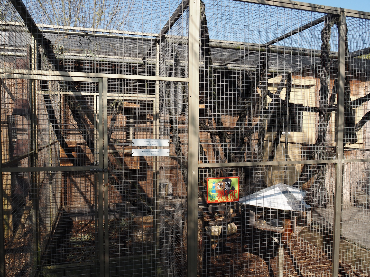 North American red squirrel exhibit, 2025-04-12