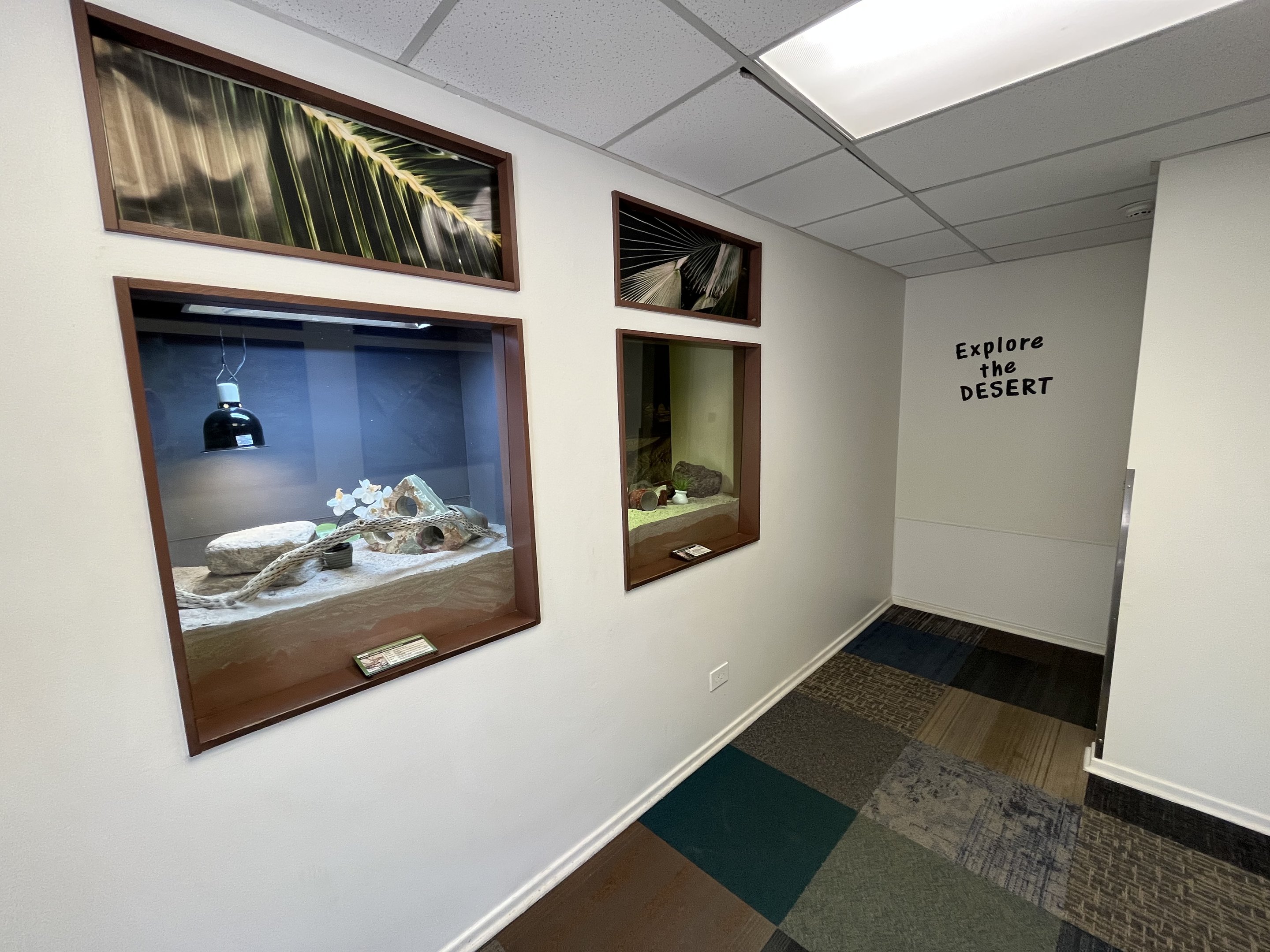 North American Reptile House