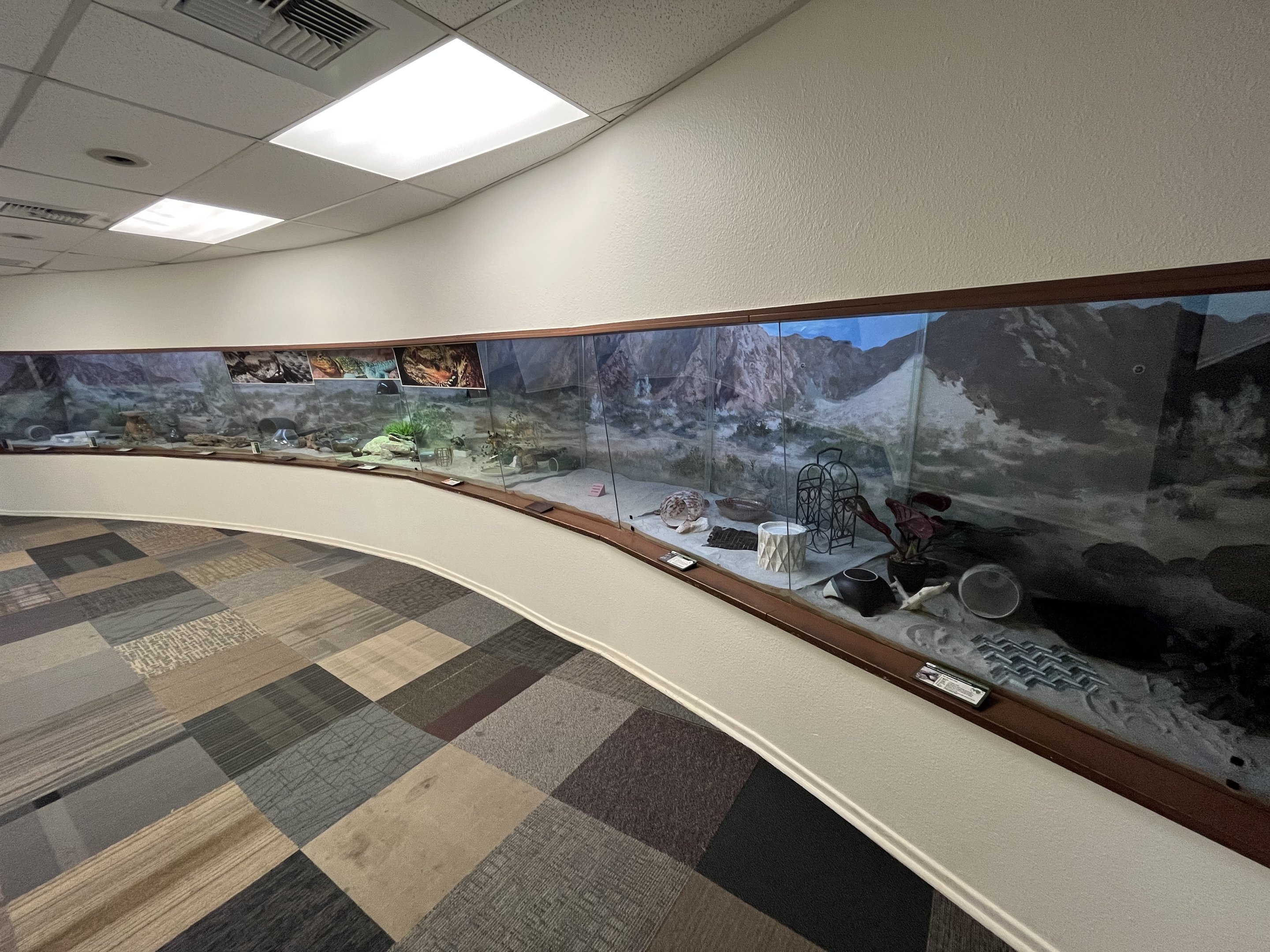 North American Reptile House