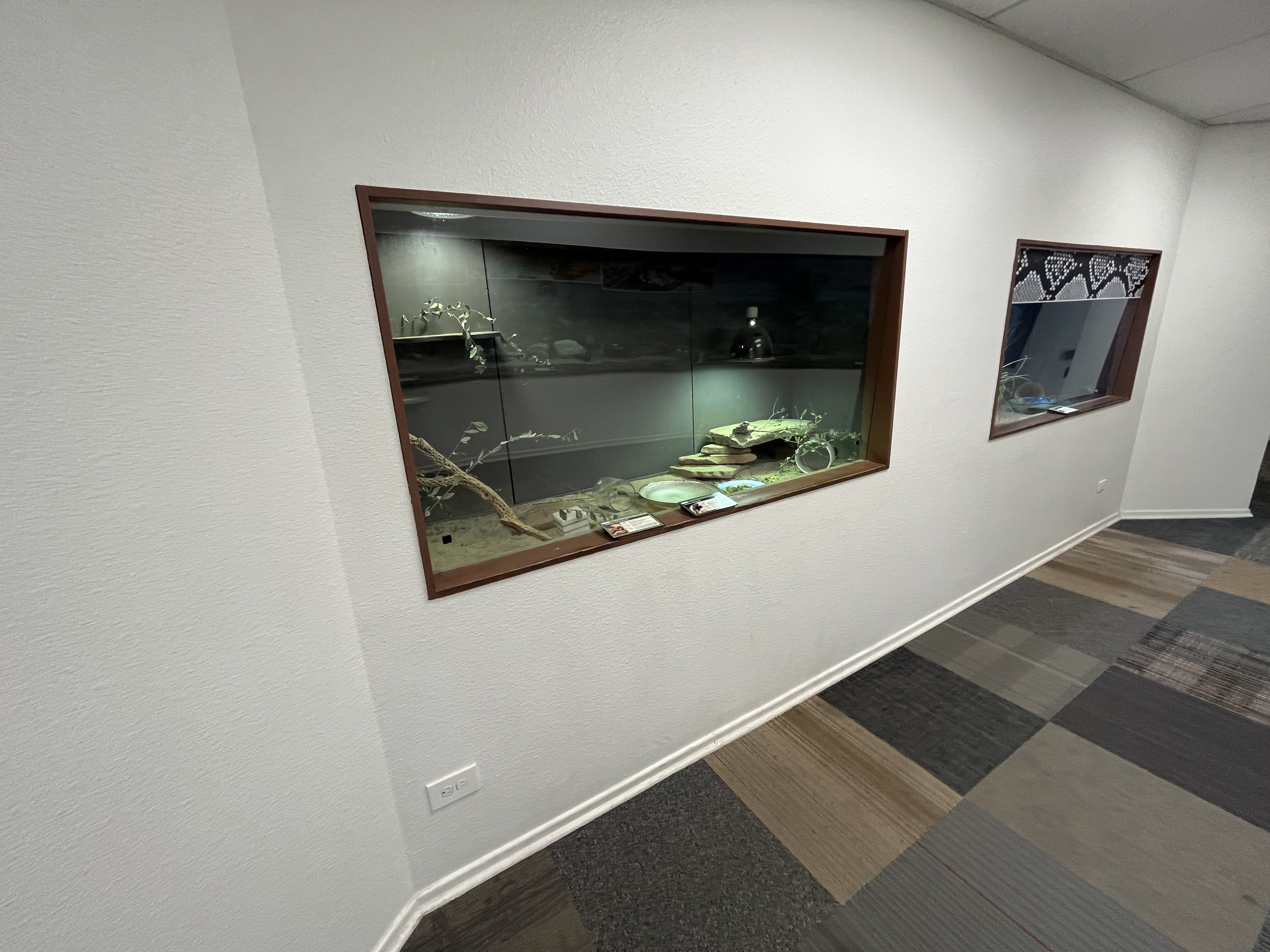 North American Reptile House