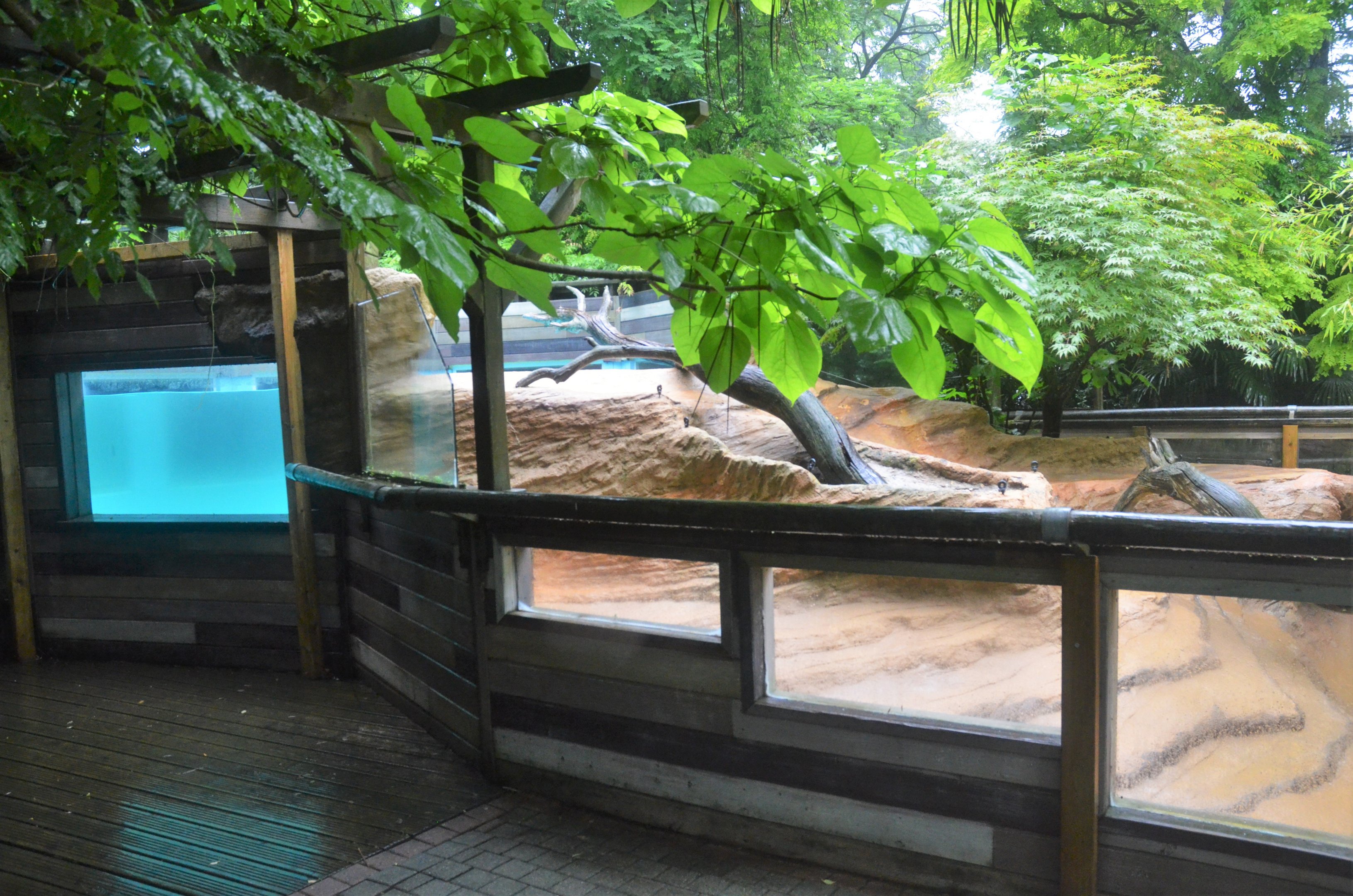 North American River Otter Enclosure at La Flèche, 11/06/18