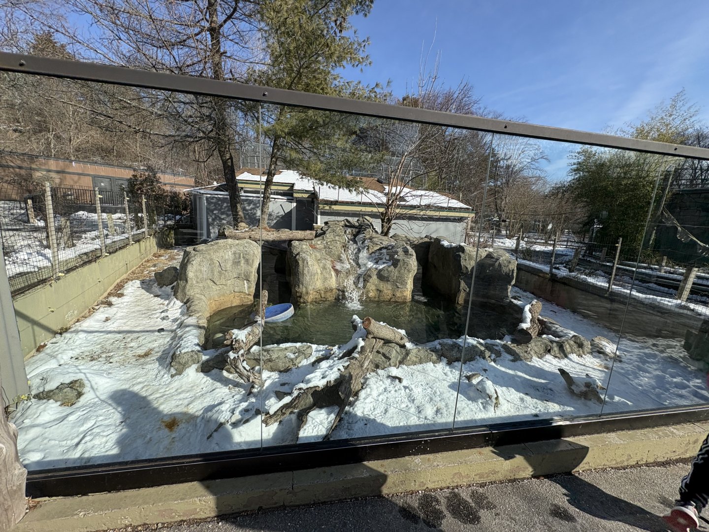 North American River Otter Enclosure - Seen Jan 26, 2025