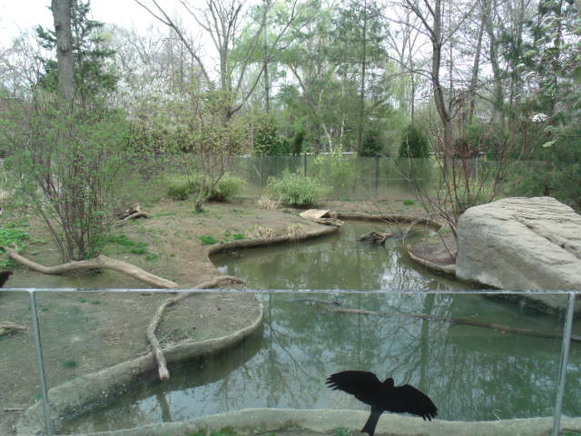 North American River Otter Enclosure