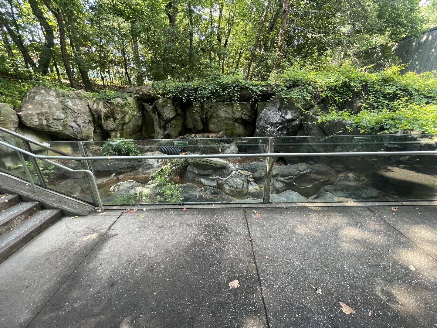 North American River Otter Enclosure