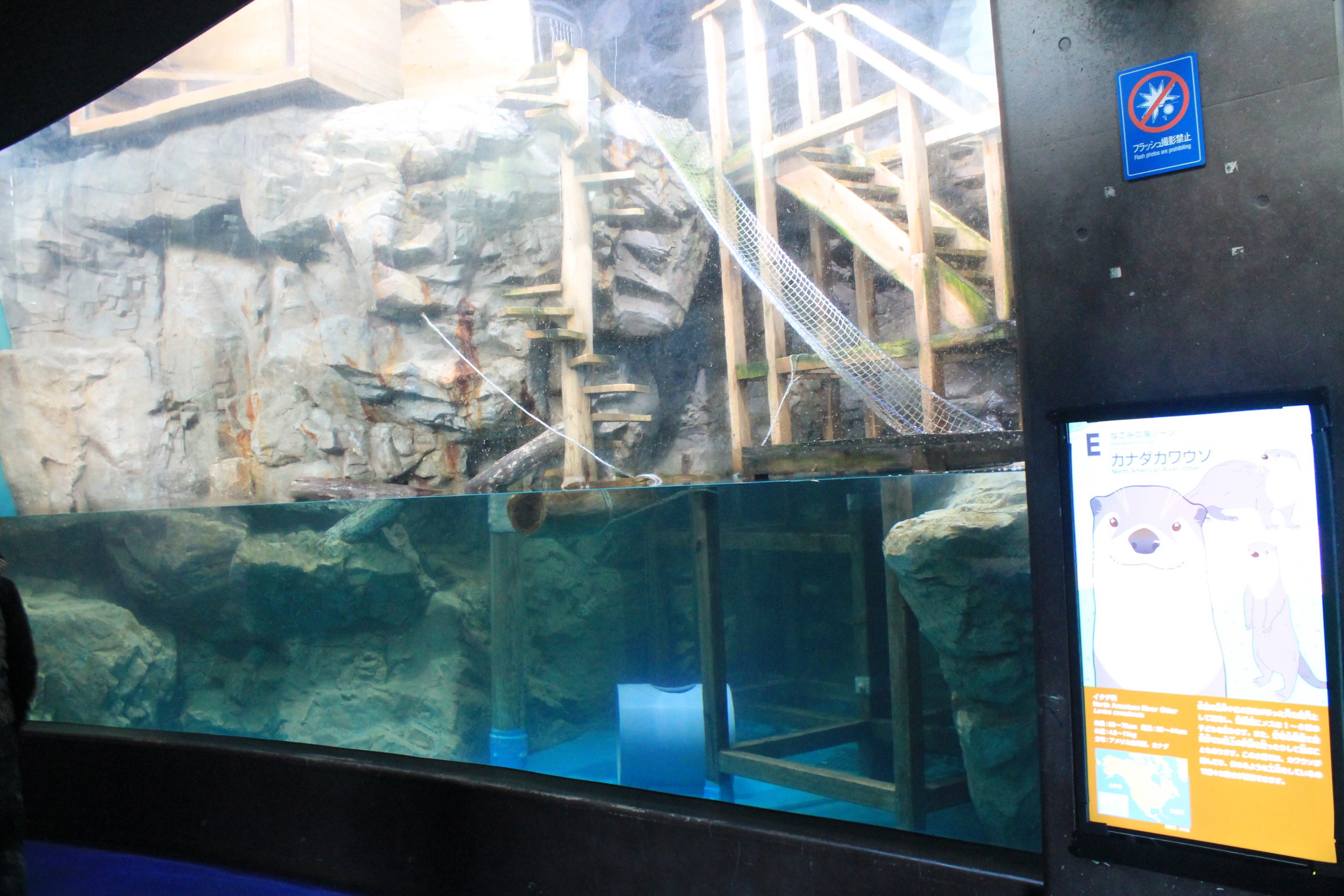 North American River Otter enclosure