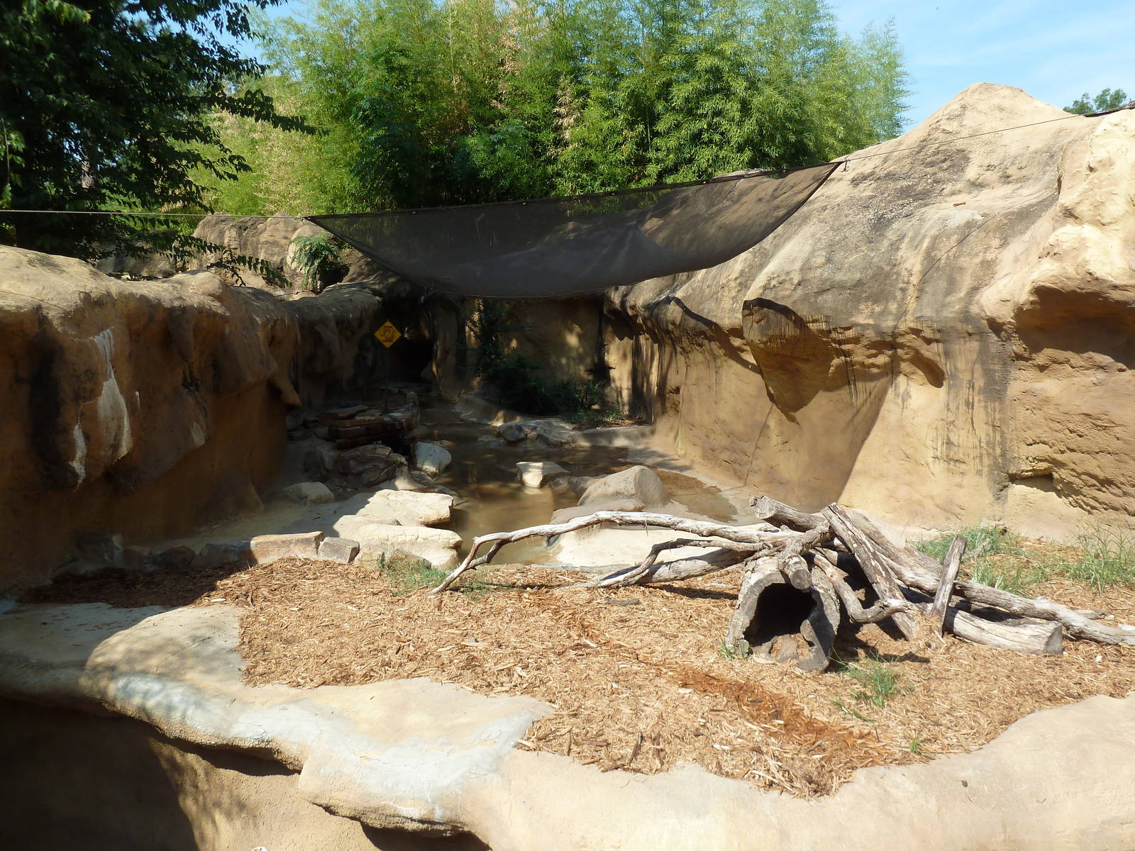 North American River Otter Exhibit #2