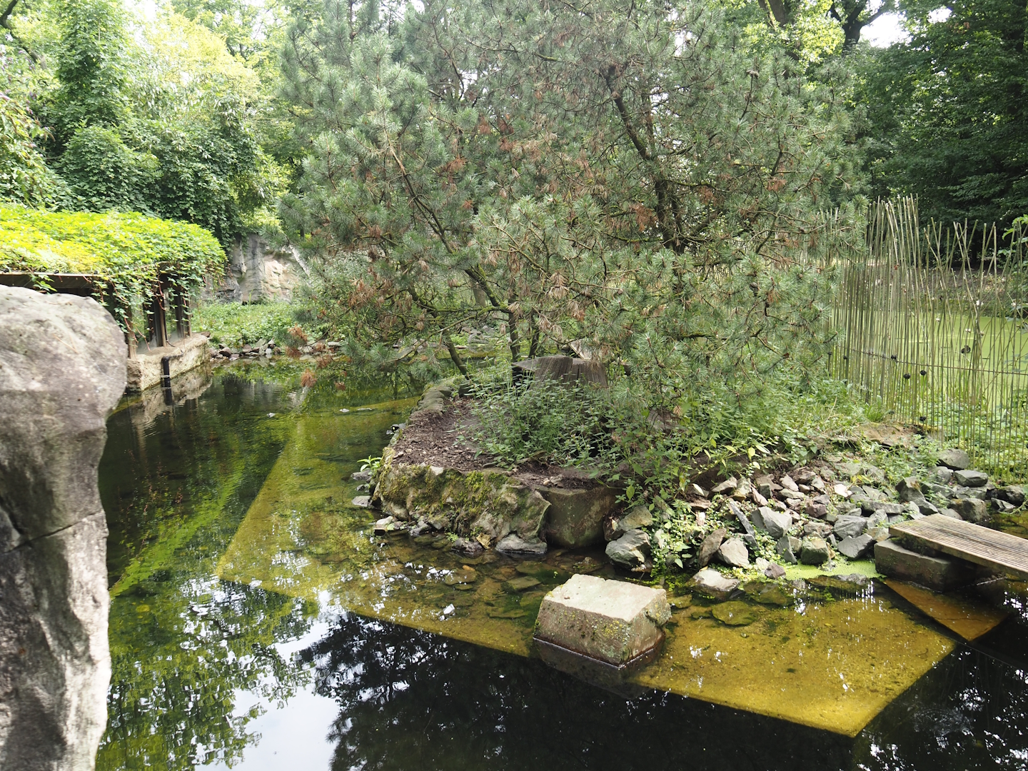 North American river otter exhibit, 2024-08-05