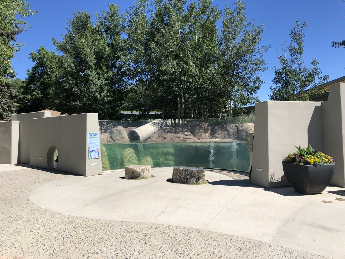 North American River Otter Exhibit at Edmonton Valley Zoo (July 2022)