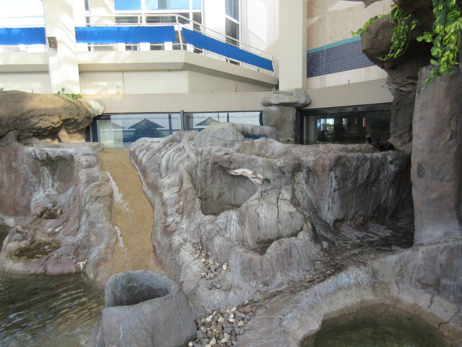 North American River Otter Exhibit - cement!