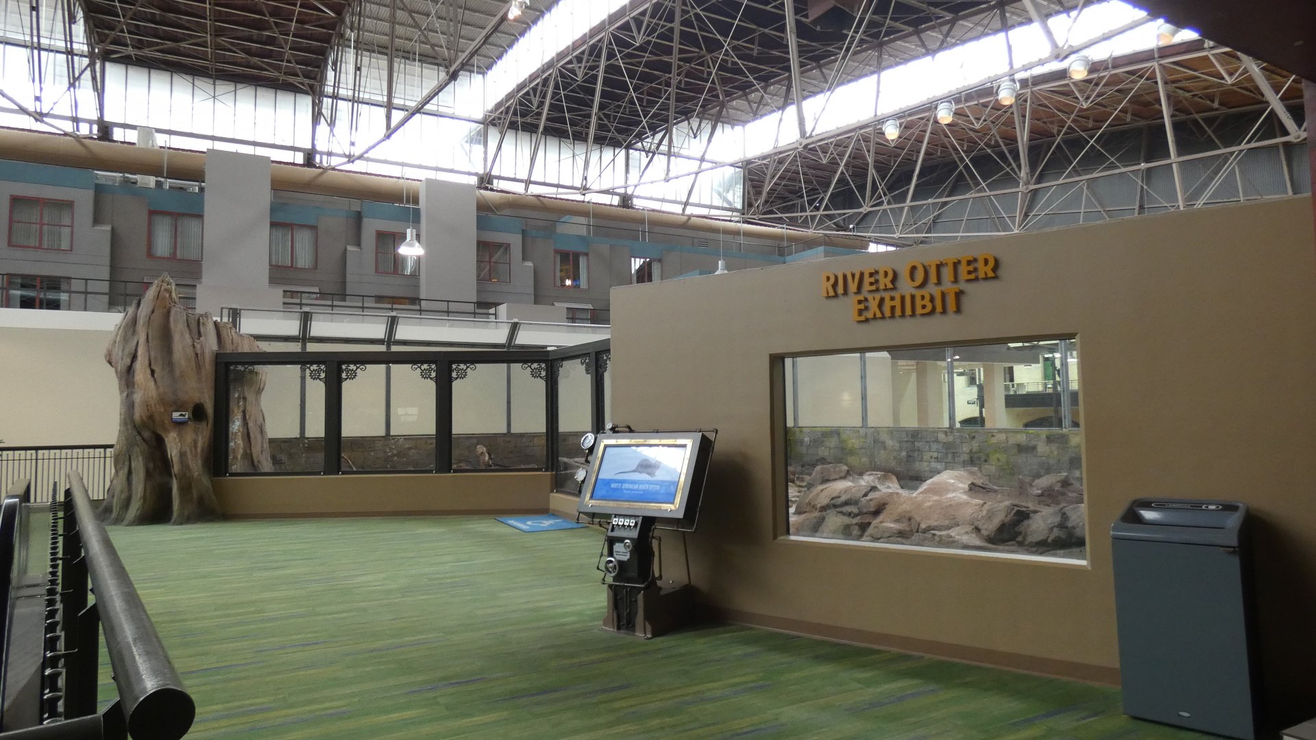 North American River Otter Exhibit, Changing Rivers - Mar. 2022
