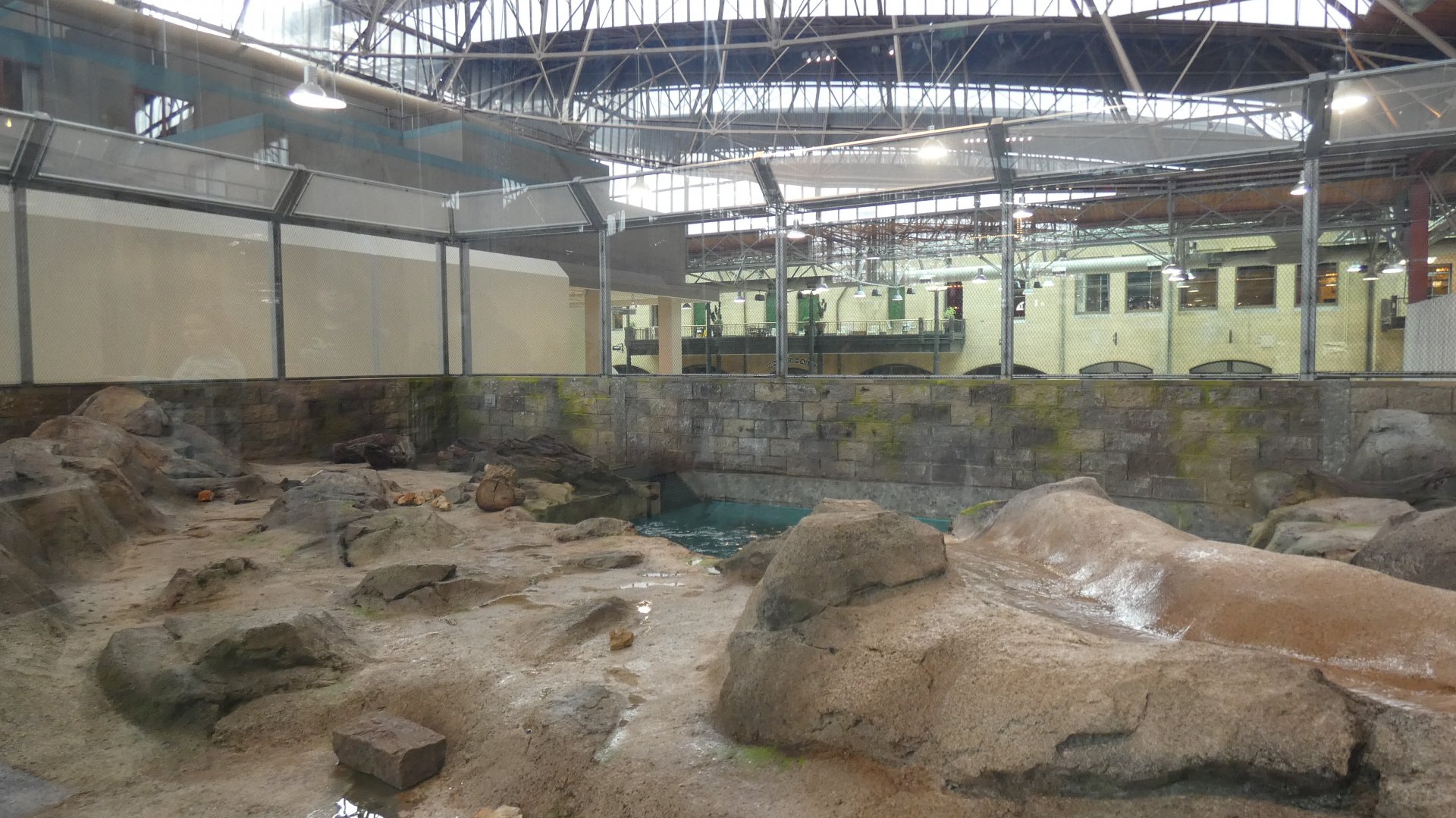 North American River Otter Exhibit, Changing Rivers - Mar. 2022