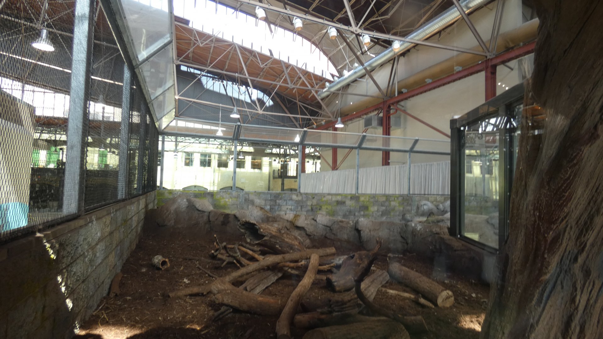 North American River Otter Exhibit, Changing Rivers - Mar. 2022