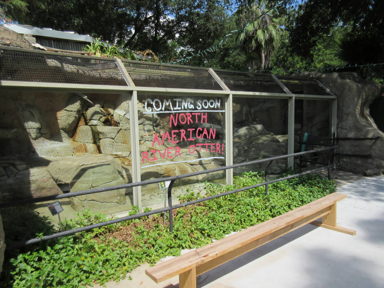 North American River Otter Exhibit - coming soon