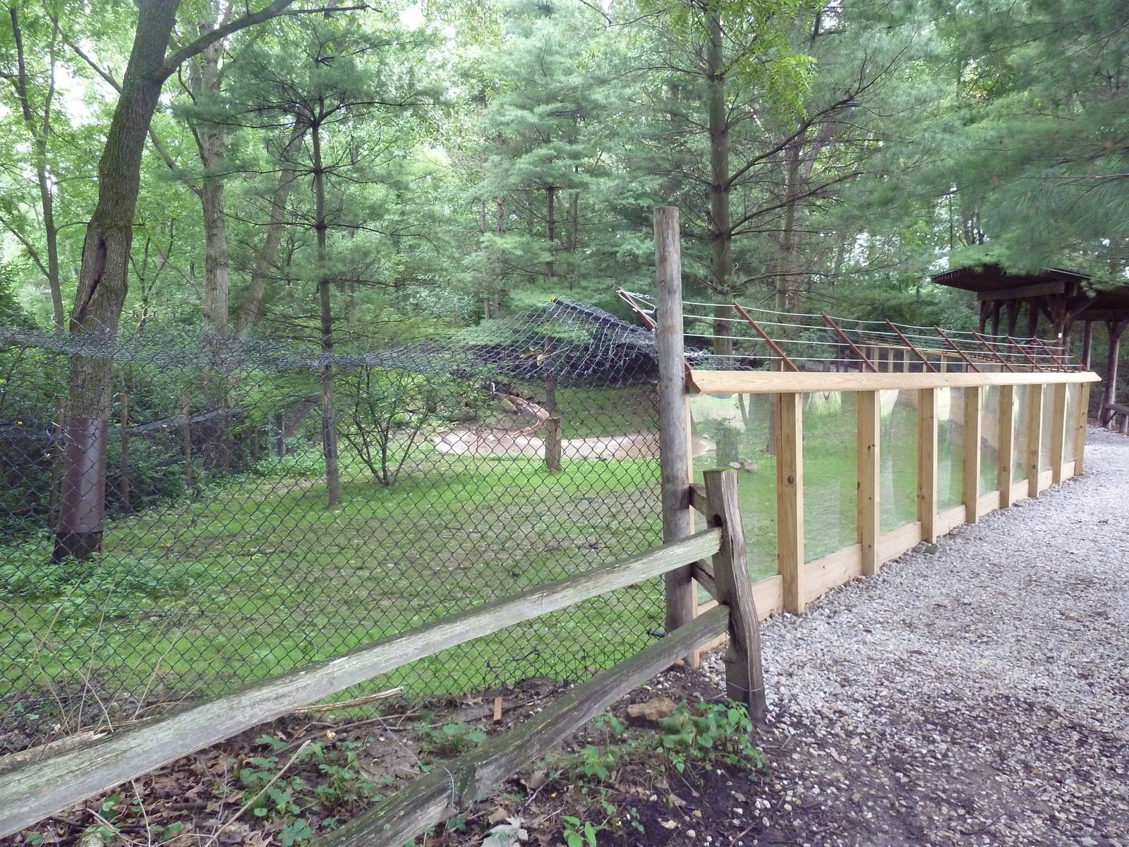 North American River Otter Exhibit (currently empty)