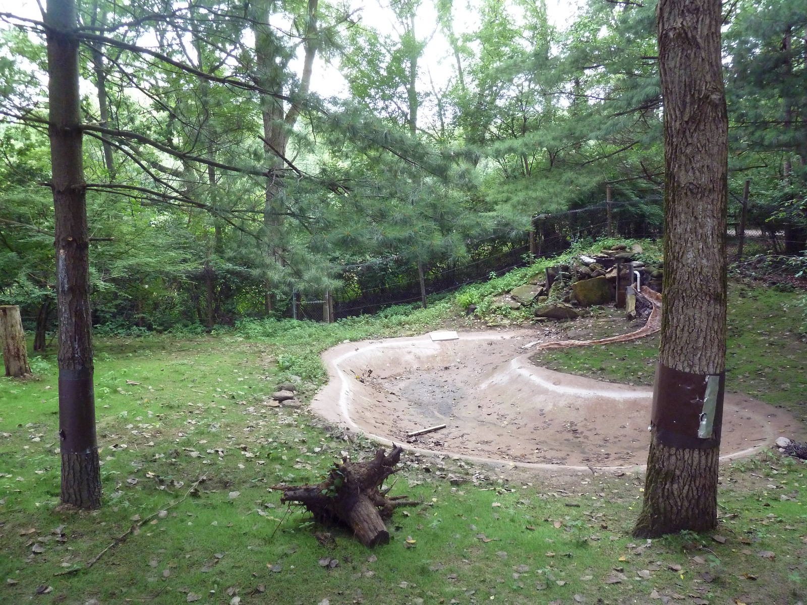 North American River Otter Exhibit (currently empty)