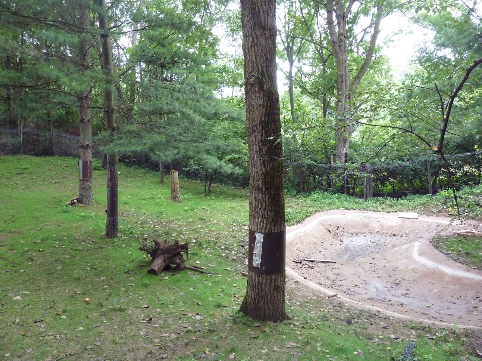 North American River Otter Exhibit (currently empty)