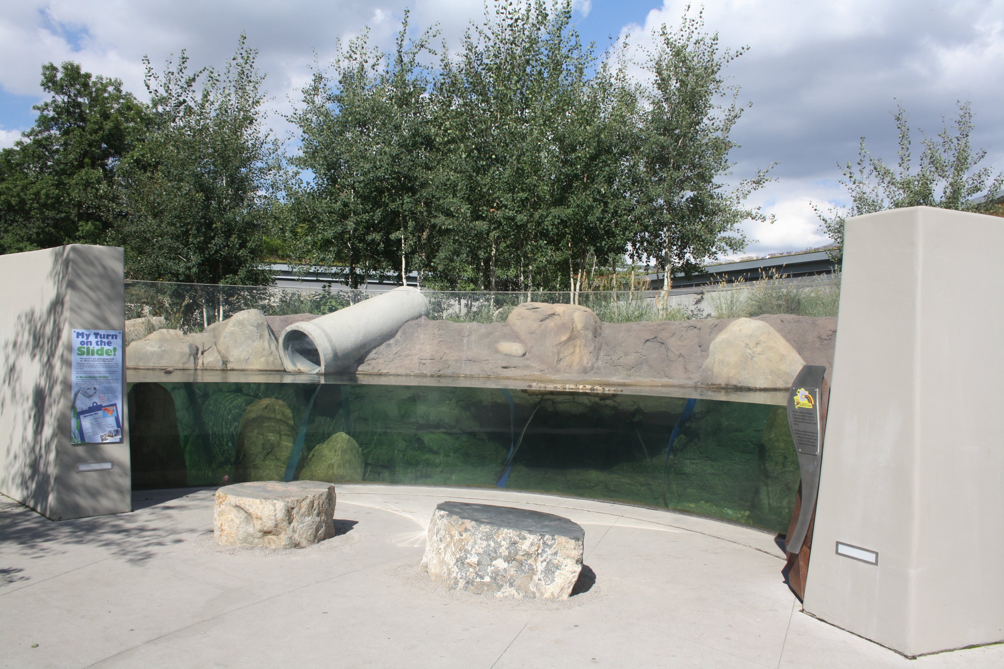 North American River Otter Exhibit - New in 2014 (renovated)