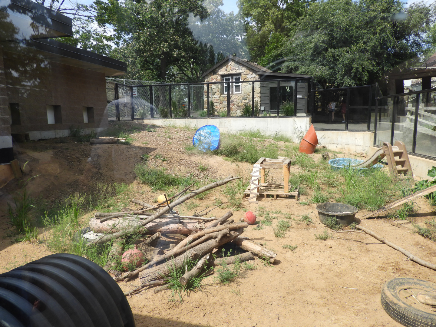 North American River Otter exhibit (New in 2018) - Ochsner Park Zoo