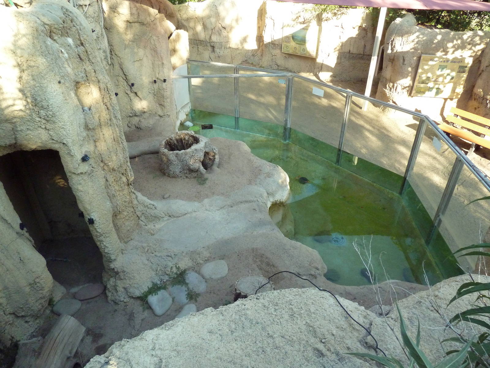North American River Otter Exhibit - Overhead View