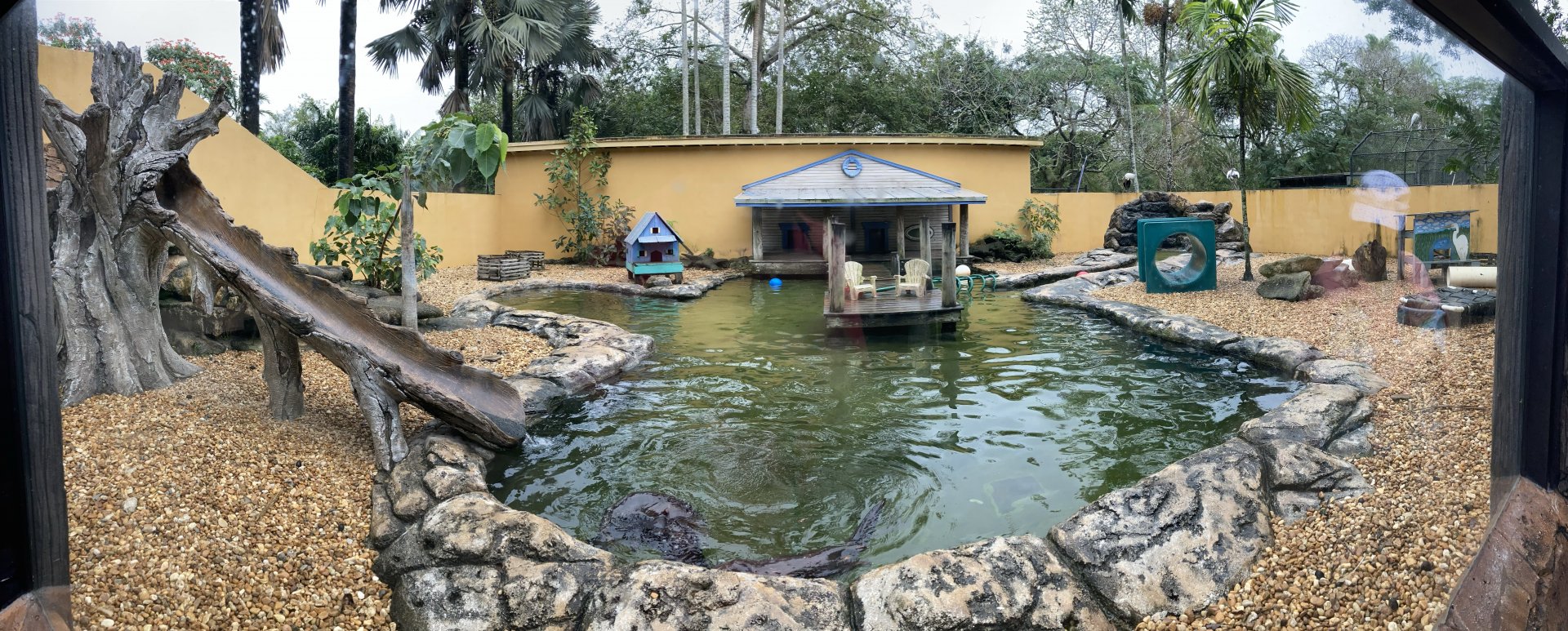 North American River Otter Exhibit (Panorama)