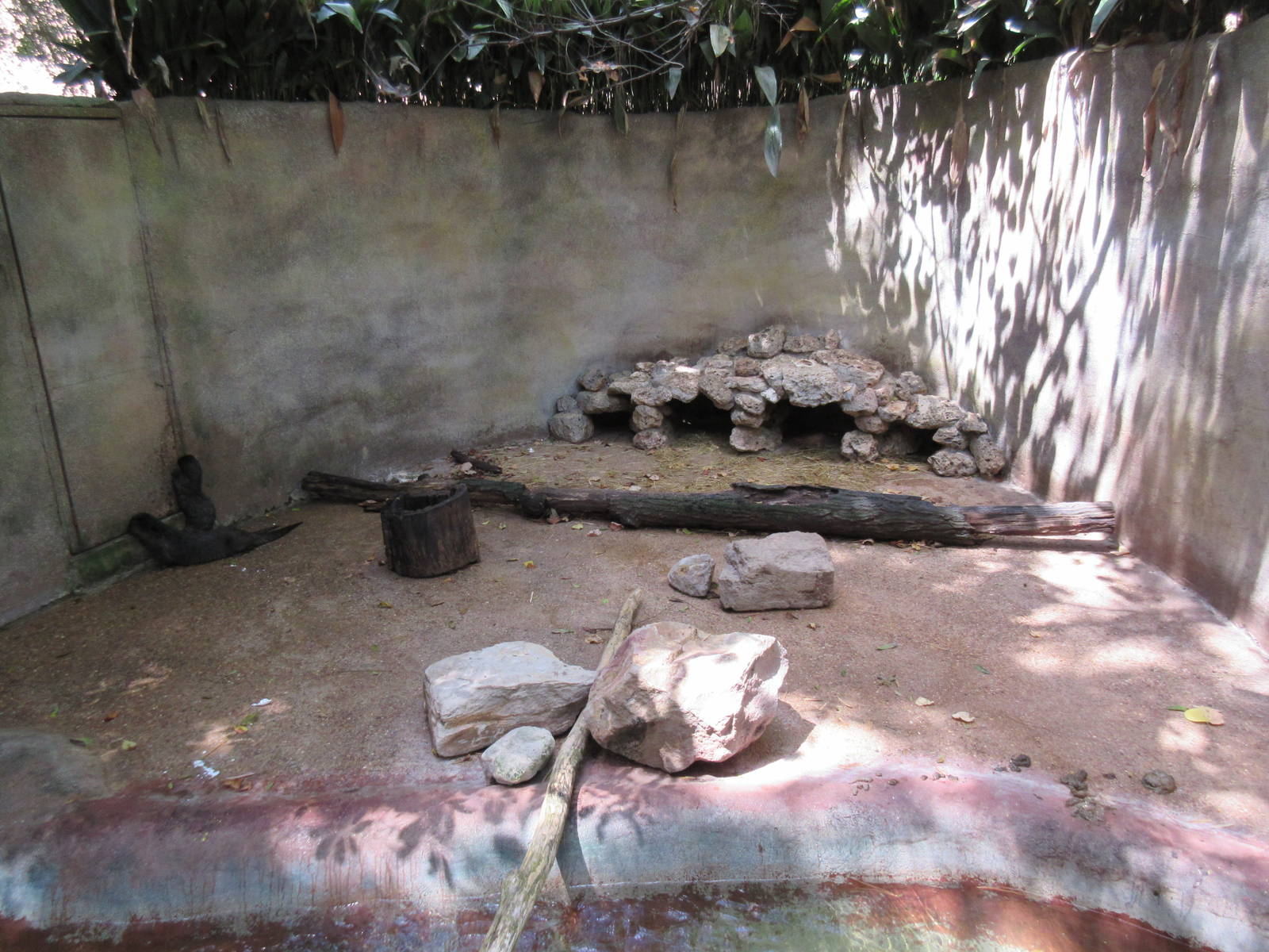 North American River Otter Exhibit - terrible!