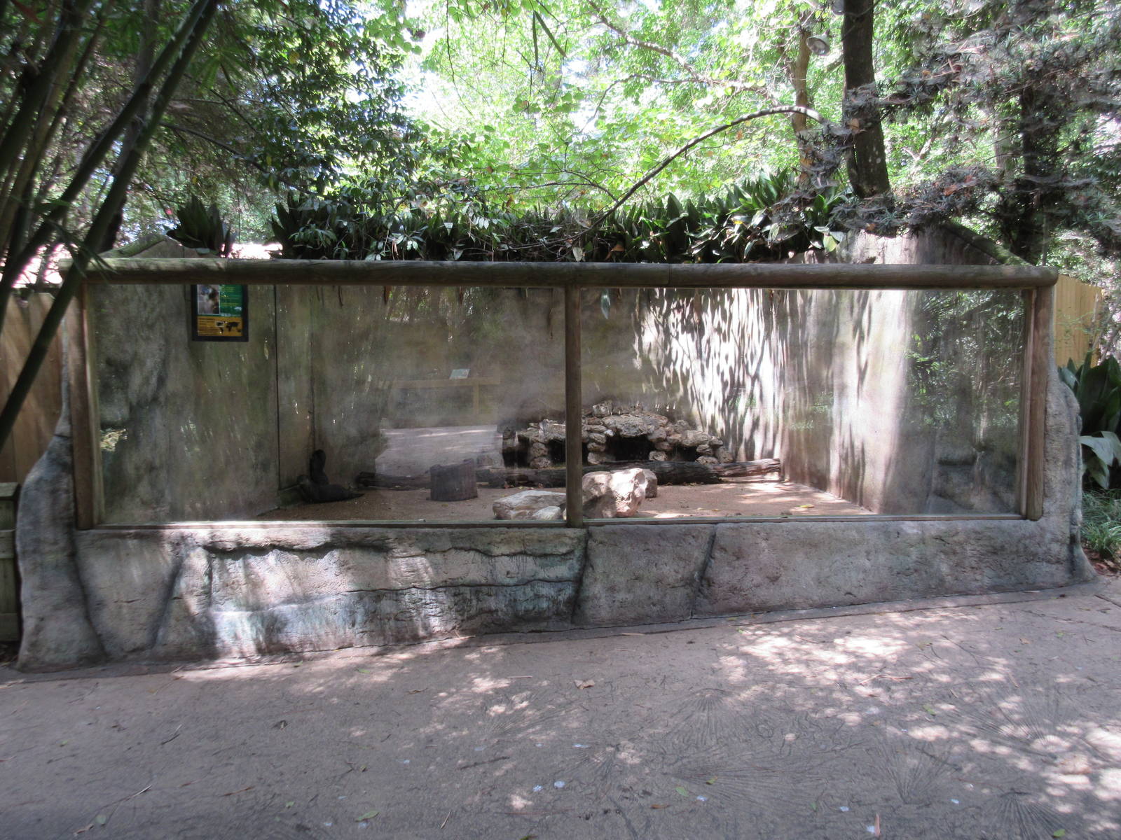 North American River Otter Exhibit - terrible!