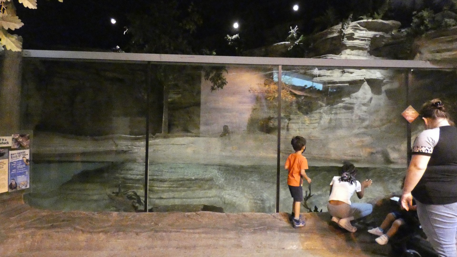 North American River Otter Exhibit, The Swamp - Sep. 2021