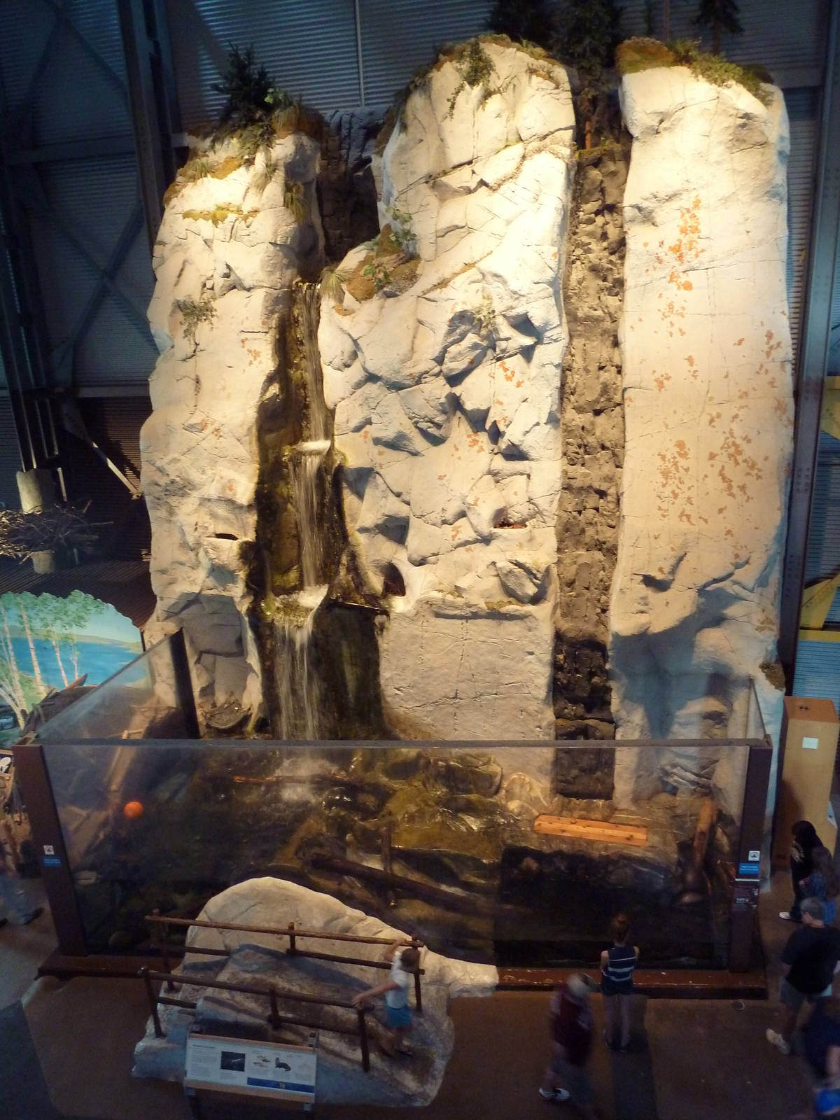 North American River Otter Exhibit - View From Above