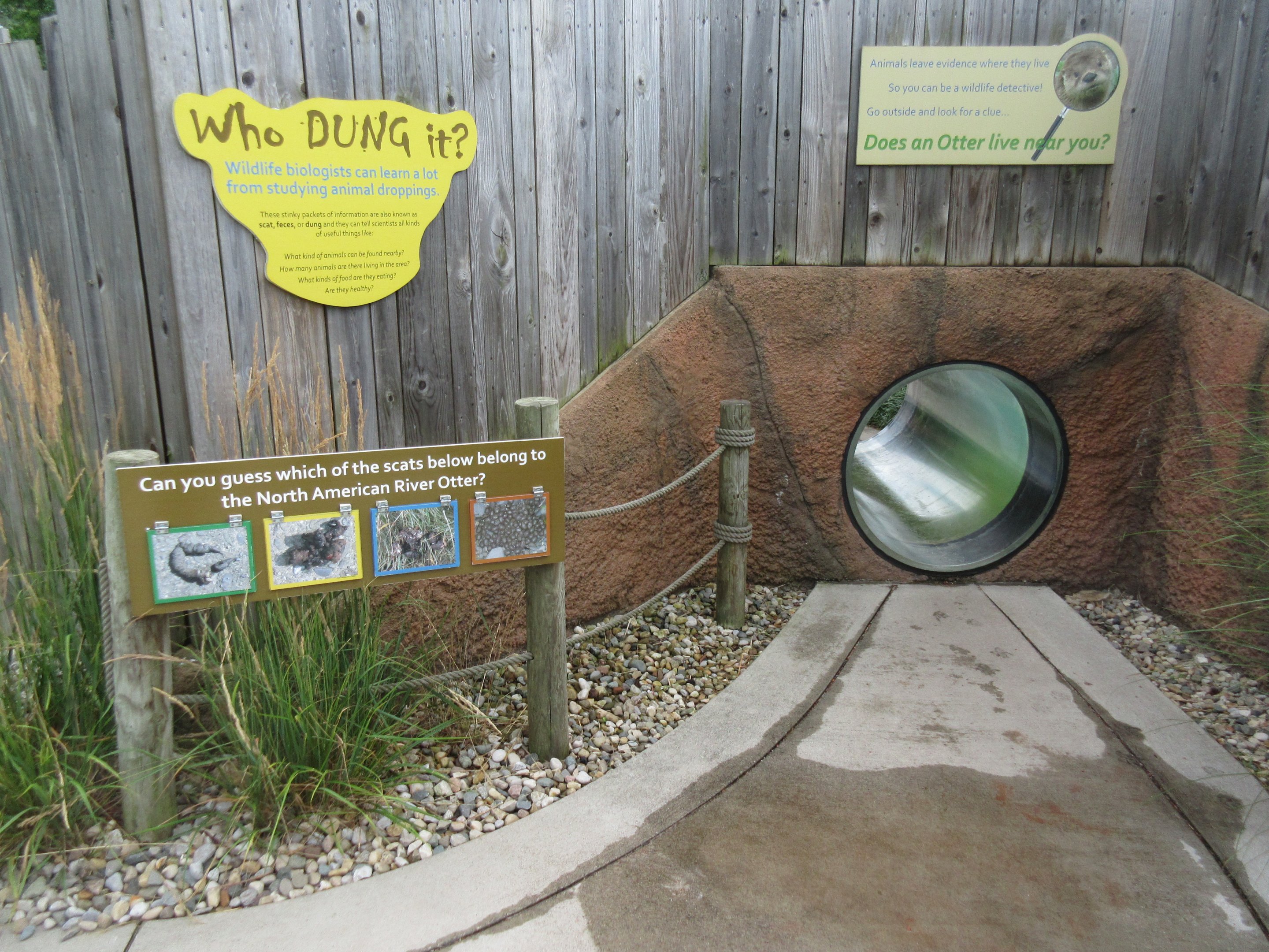 North American River Otter Exhibit - Visitor Tunnel