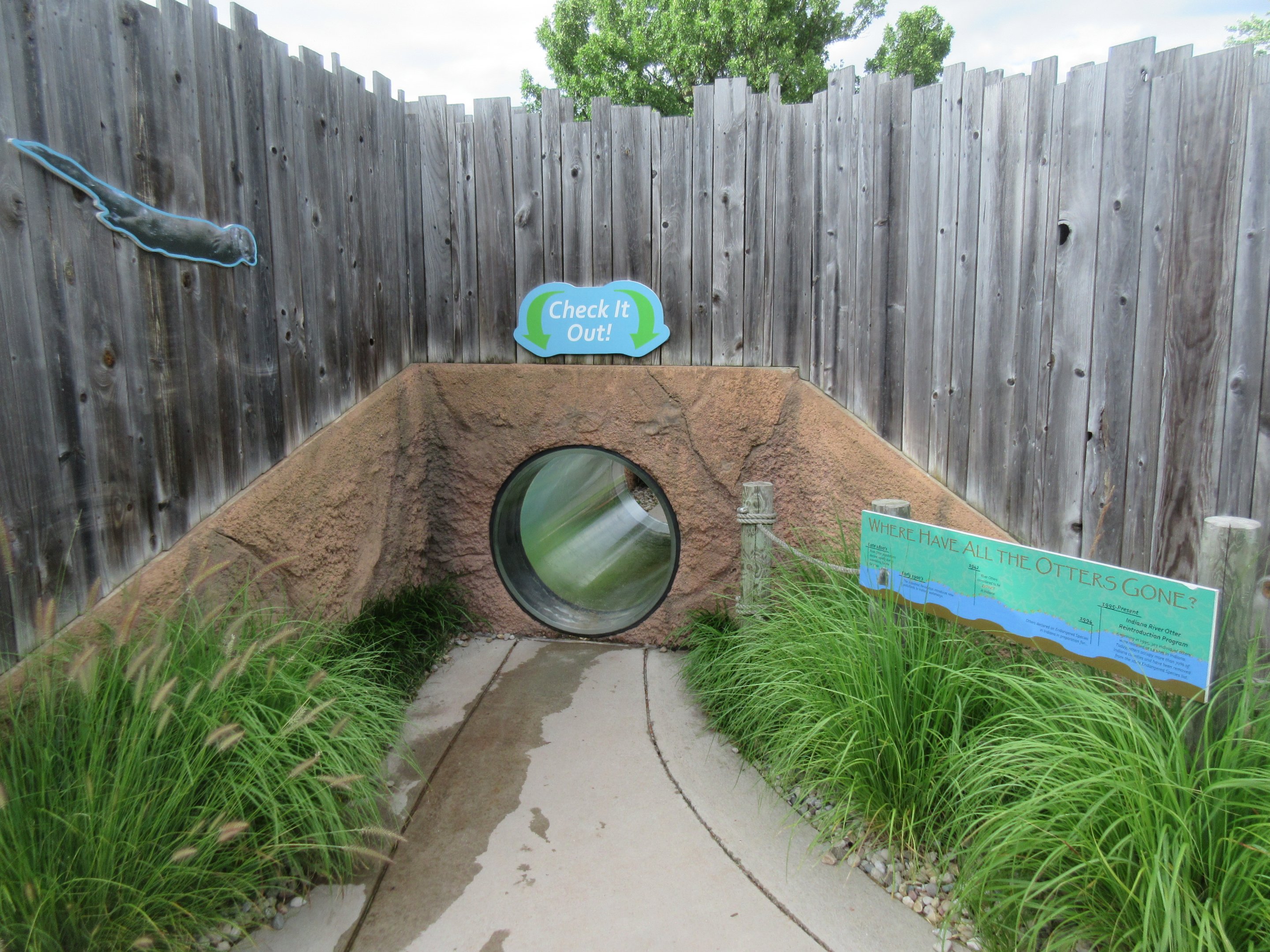 North American River Otter Exhibit - Visitor Tunnel