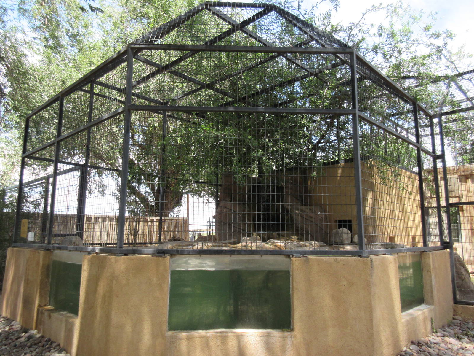 North American River Otter Exhibit - with underwater viewing