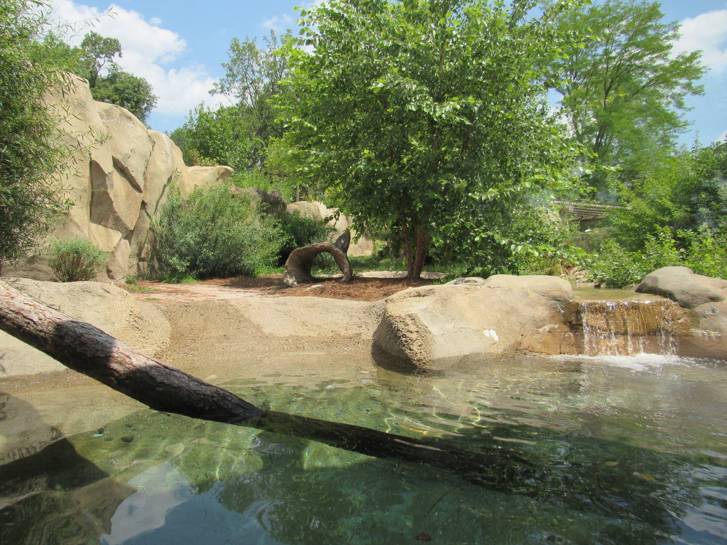 North American River Otter Exhibit, Zoo Central