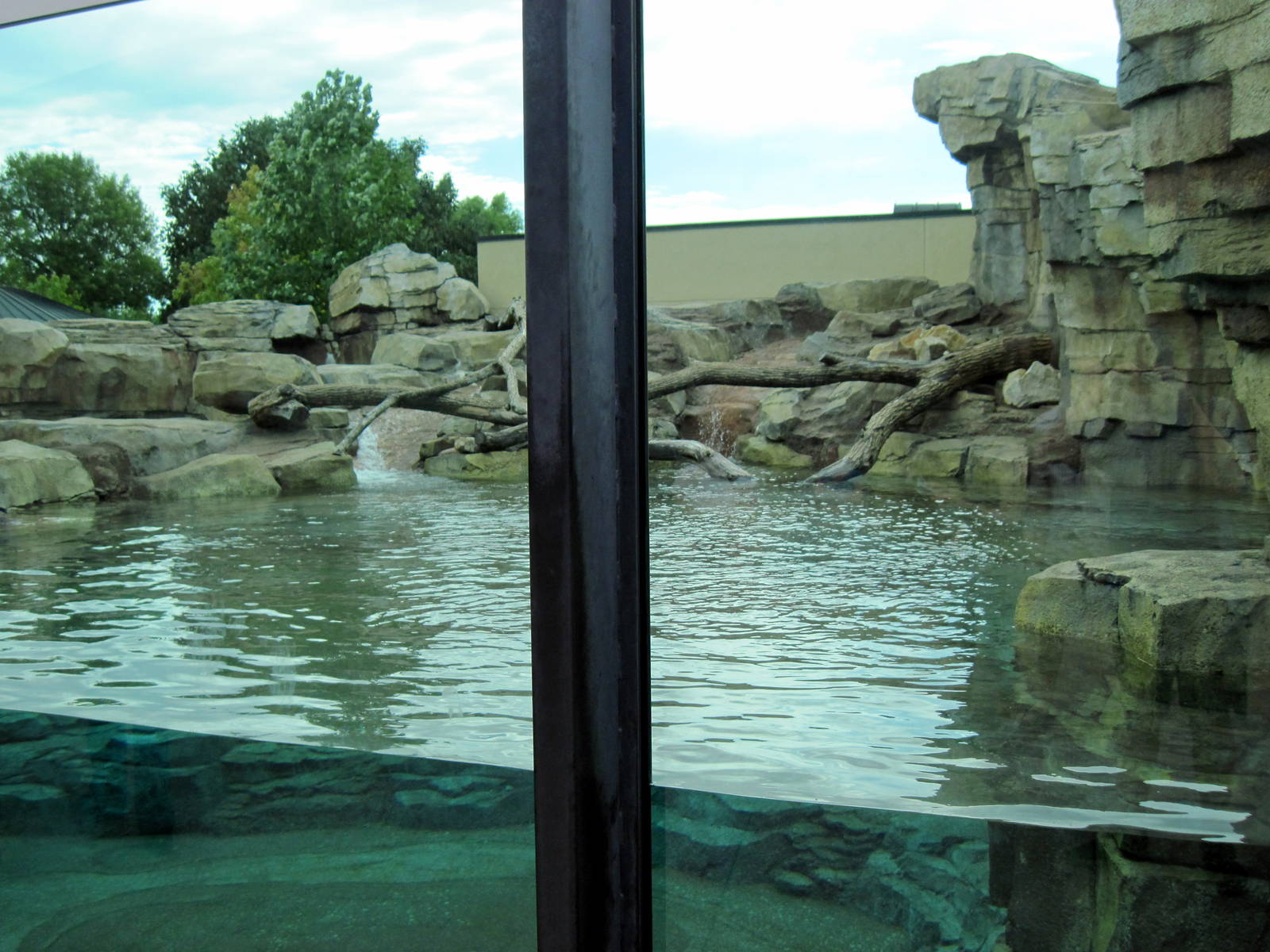 North American River Otter Exhibit