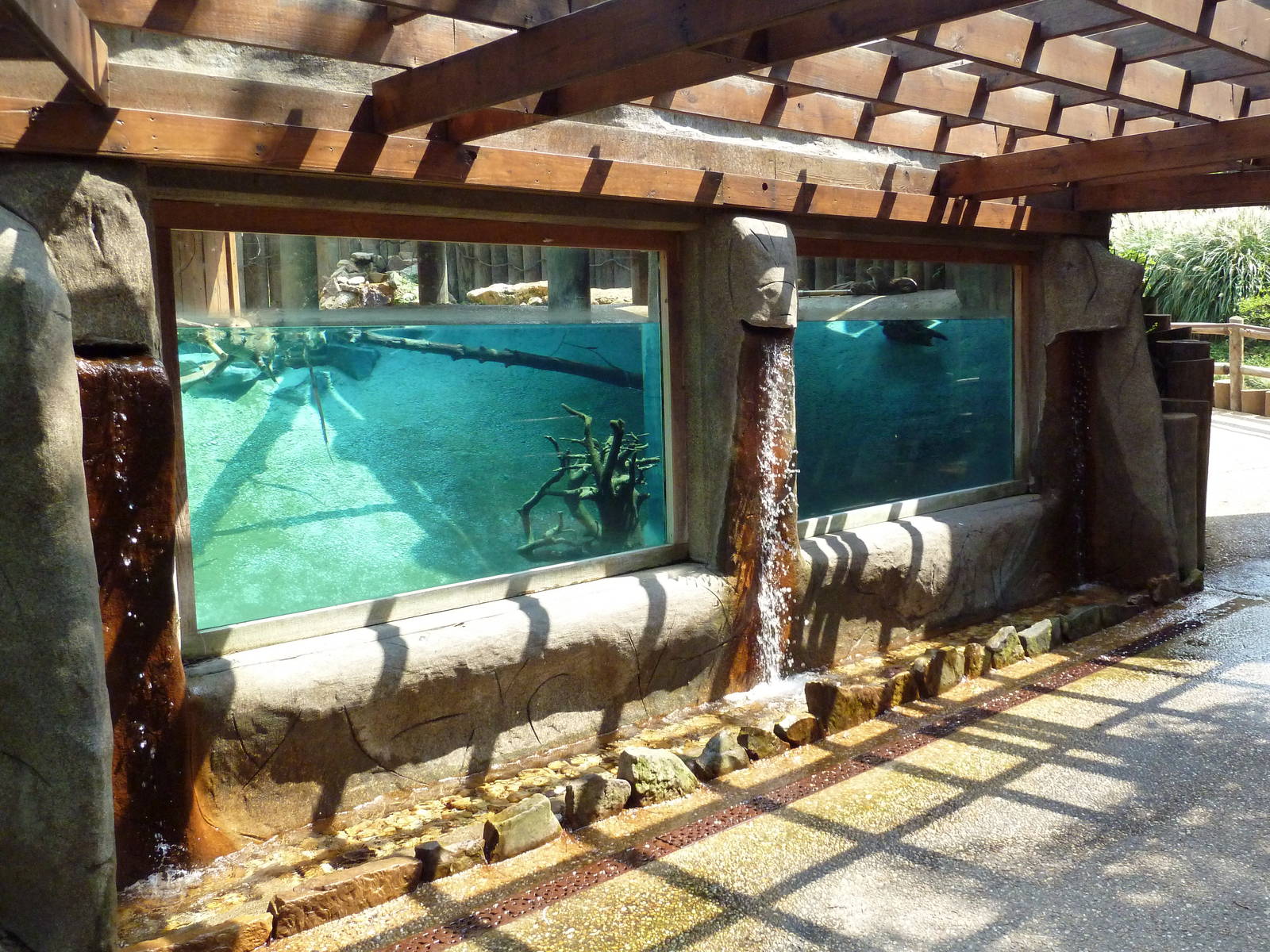 North American River Otter Exhibit