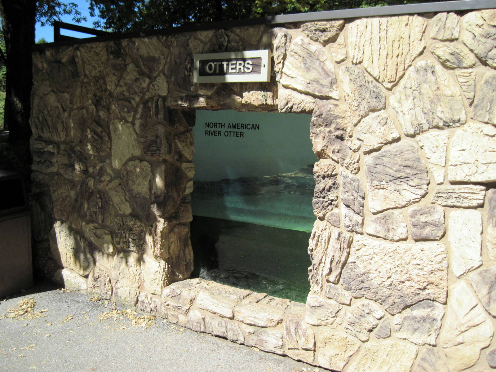North American River Otter Exhibit