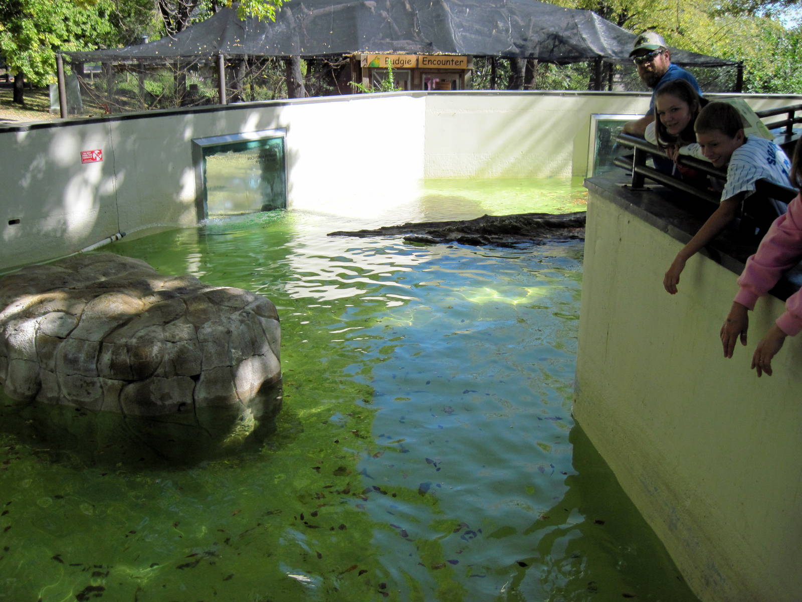 North American River Otter Exhibit
