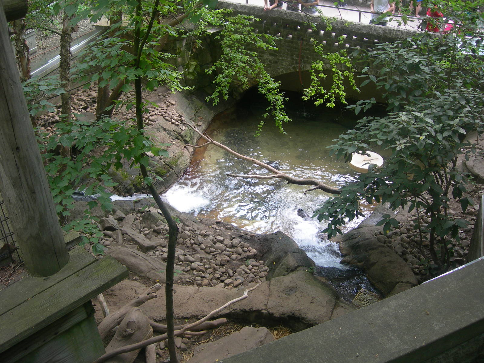 North American River Otter Exhibit