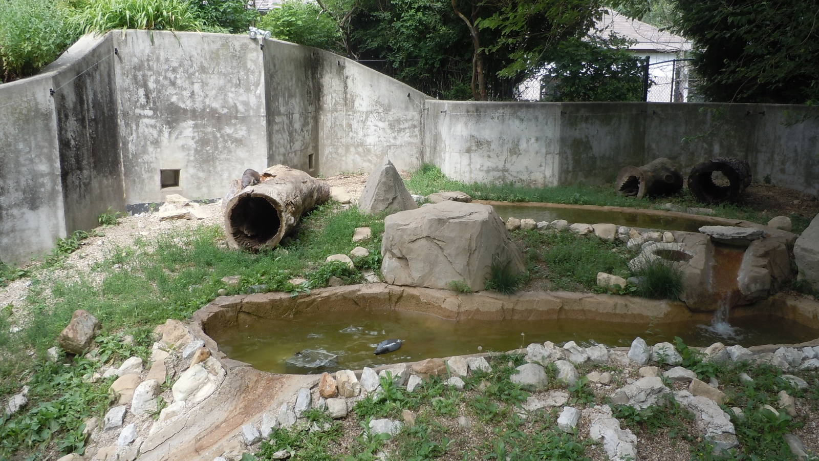 North American River Otter Exhibit