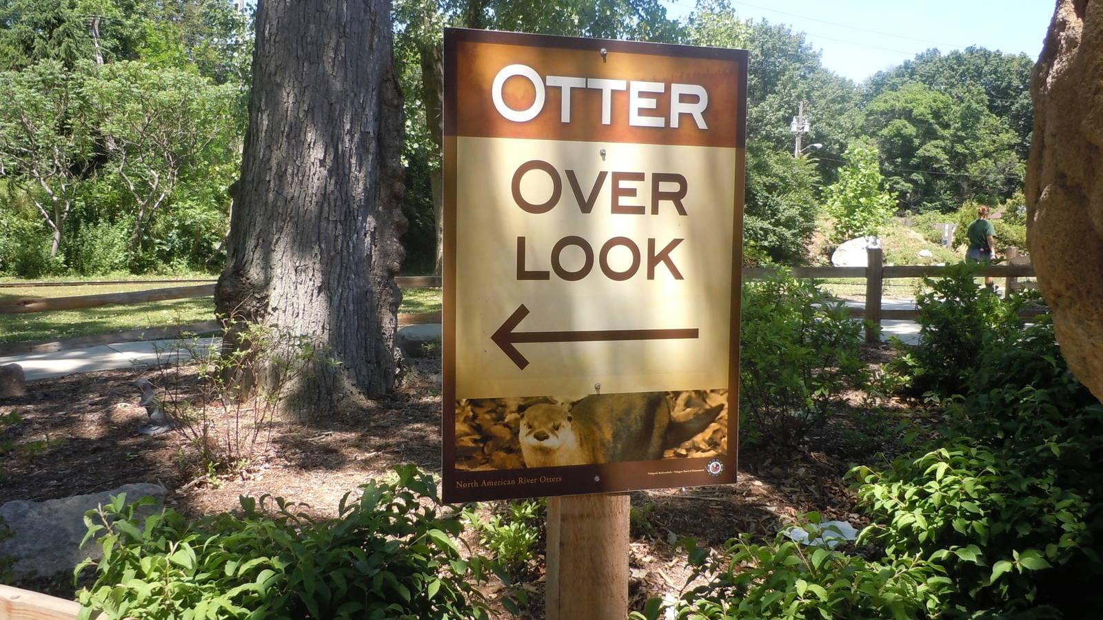 North American River Otter Exhibit.