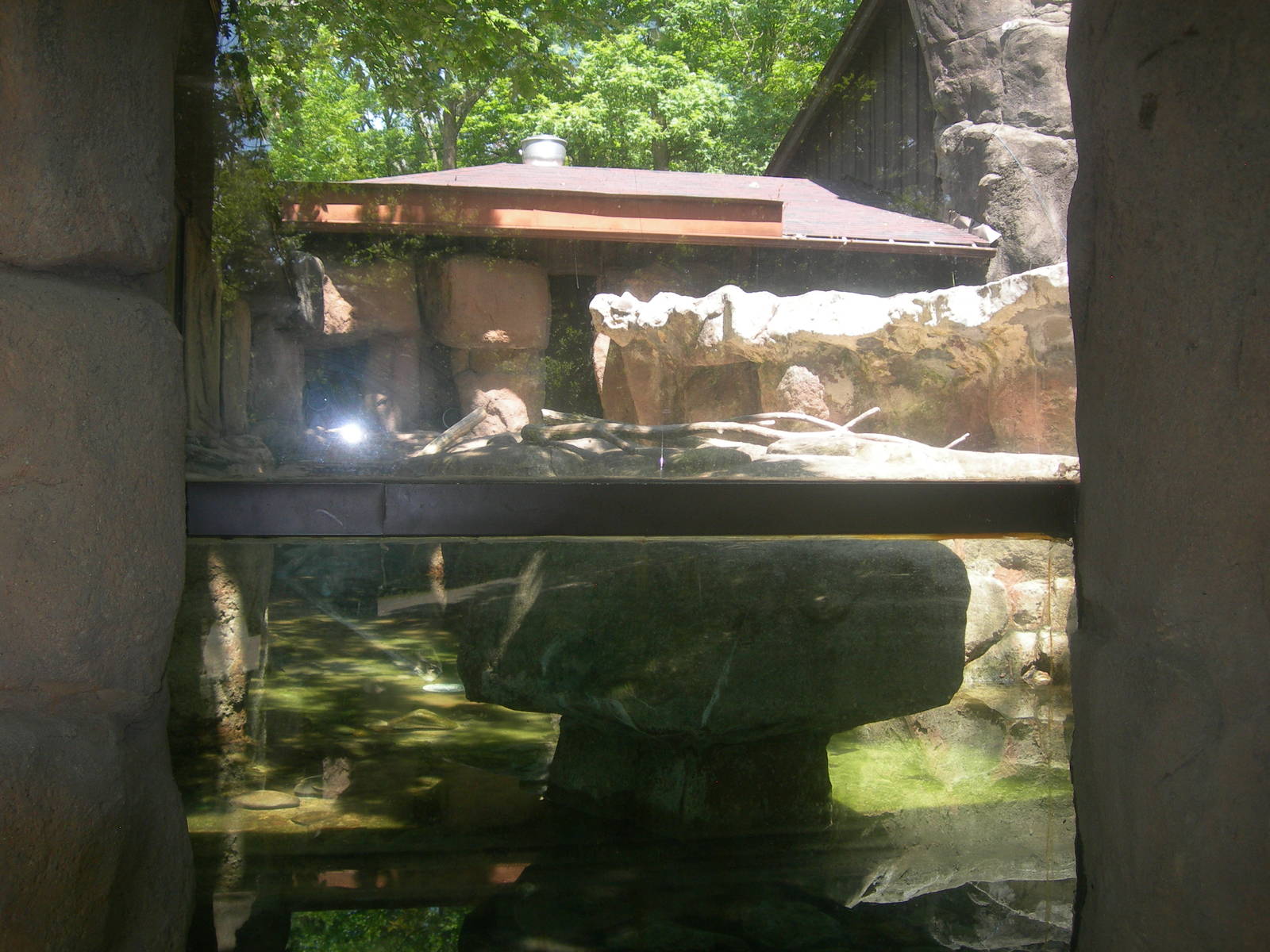 North American River Otter Exhibit