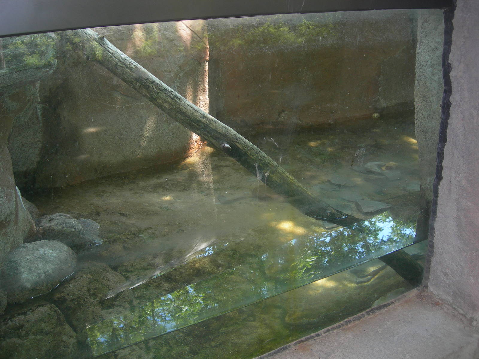 North American River Otter Exhibit