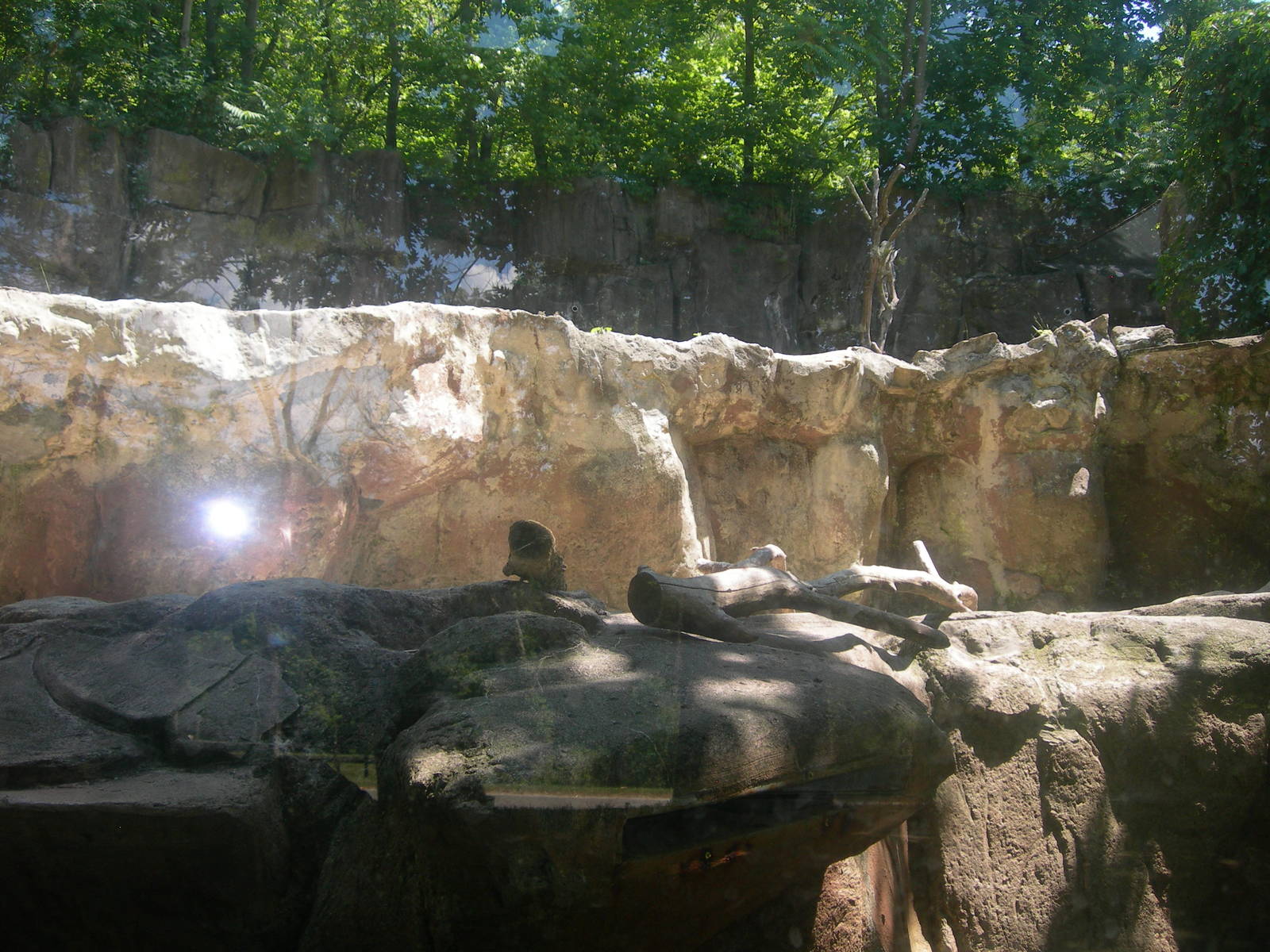 North American River Otter Exhibit
