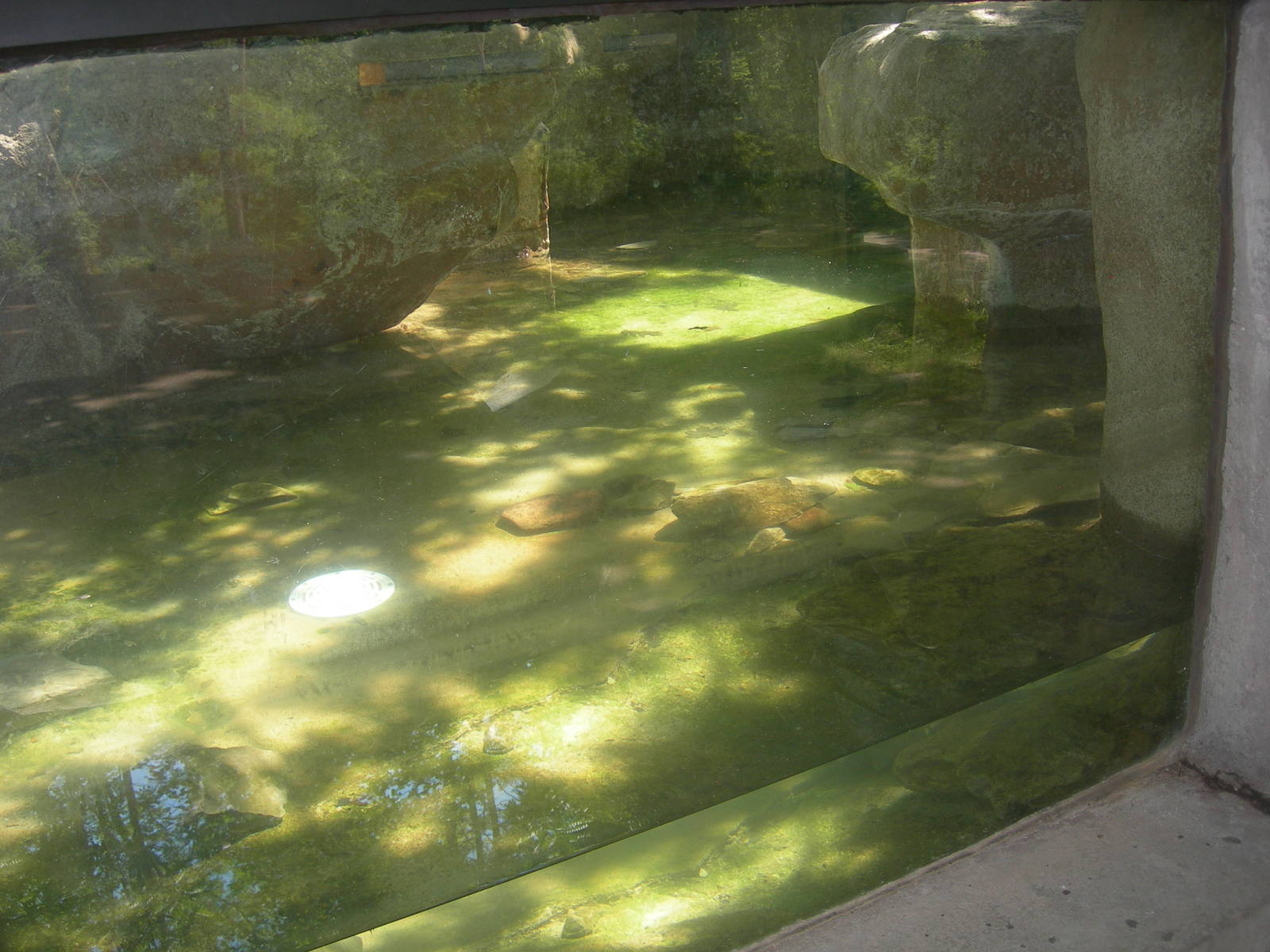 North American River Otter Exhibit