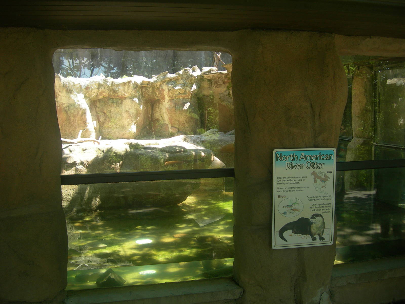 North American River Otter Exhibit