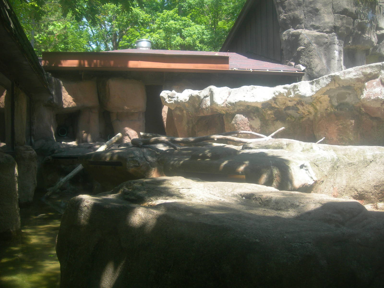 North American River Otter Exhibit